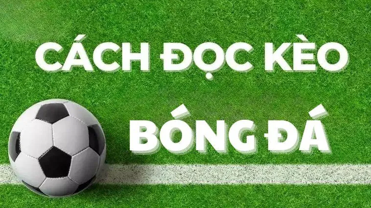 Hướng Dẫn Soi Kèo Bóng Đá Manclub Với Tỷ Lệ Thắng Cược Đỉnh Cao Nhất