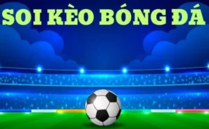 Hướng Dẫn Soi Kèo Bóng Đá Manclub Với Tỷ Lệ Thắng Cược Đỉnh Cao Nhất